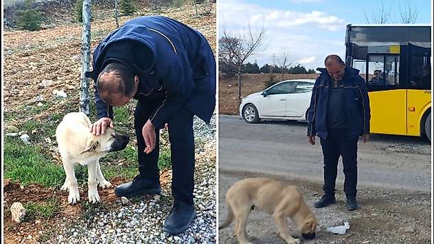 Malatya'da Otobüs Şoförü Küçük Bir Dostun Ayağını Taştan Kurtardı