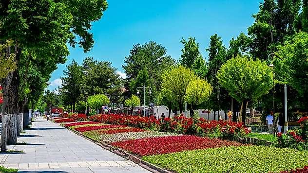 Malatya'da Parklar ve Kavşaklar Çiçekle Renklendirildi