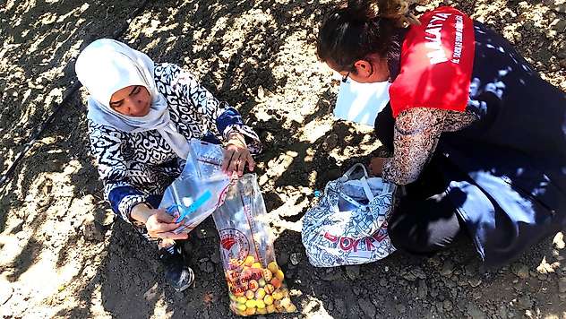 Malatya'da Pestisit Denetimi: Limit Üstü Kalıntı Tespit Edilen Üreticilere Tedbir ve Ceza