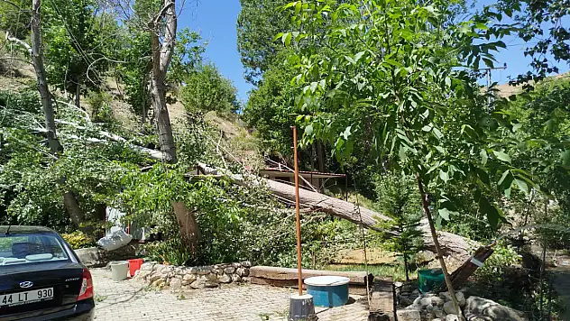 Malatya'da şiddetli fırtına: Ağaçlar devrildi çatılar uçtu