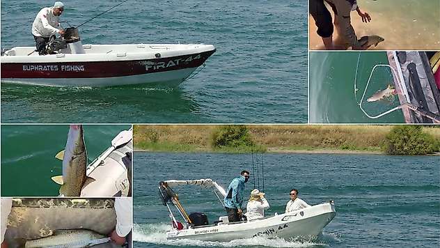 Malatya'da turna balığı 'yakala-bırak' yarışmasına yoğun ilgi