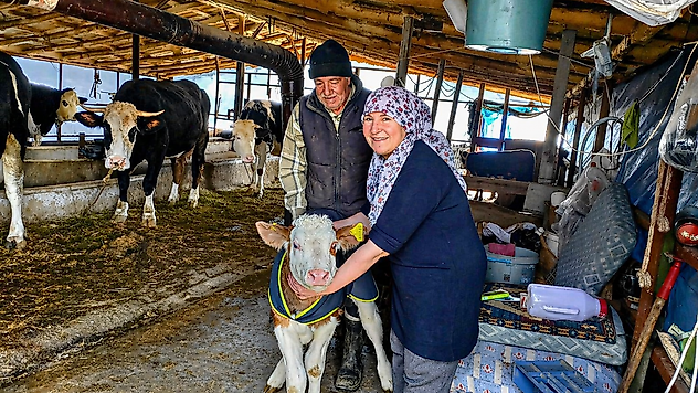 Malatya'da 'Yaşasın Buzağılar' Projesiyle Buzağı Ölümlerine Karşı Seferberlik