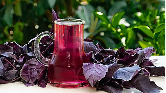 Malatya'da Yaz Aylarının Serinleten Lezzeti: Reyhan Şerbeti