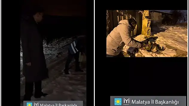 Malatya'da Yürekleri Isıtan Dayanışma: Can Dostlara Şefkat Eli