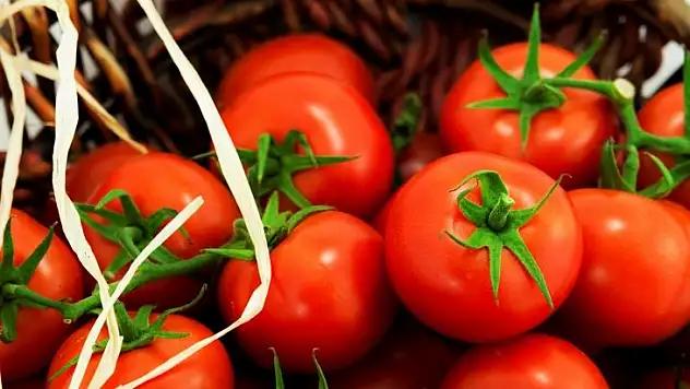 Rusya'ya yaş meyve sebze ihracatında liste krizi