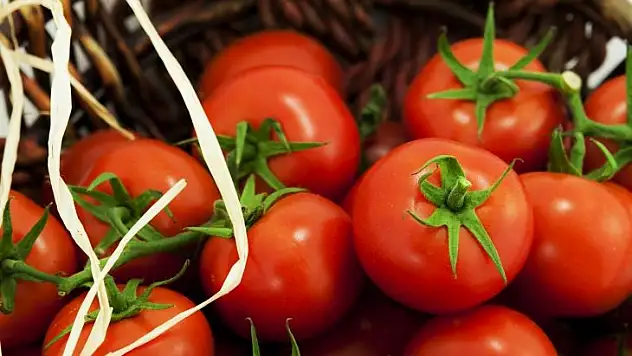 Türk domatesine Rus vetosu sona eriyor
