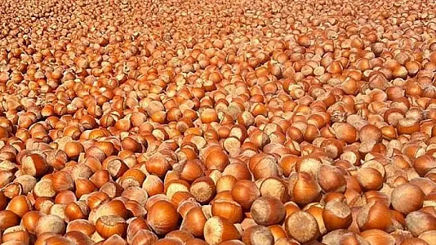 Fiyatları revize edin tepkiyi dindirin