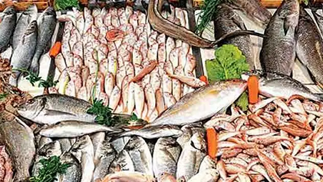 Yeterince Balık Tüketmiyoruz