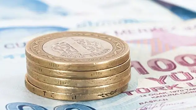 Gelir ve Yaşam Koşulları Araştırması