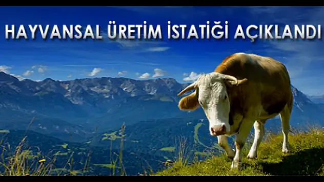 Hayvansal Üretim İstatistikleri