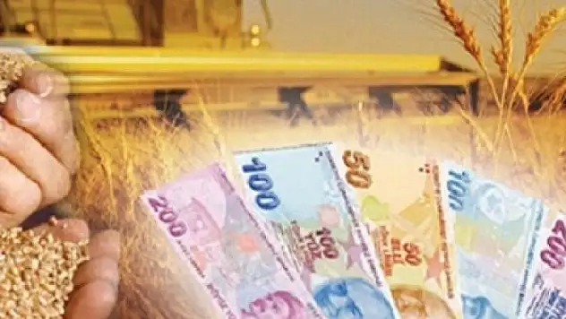 Tarım 2017'yi 5 milyonun üzerinde istihdamla kapattı