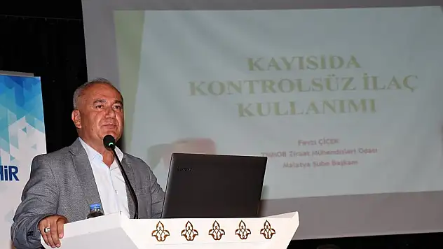 Malatya Kayısısında Kayıp Yüzde 98-99'a Ulaştı, Üreticilere Destek Ödemesi Geliyor