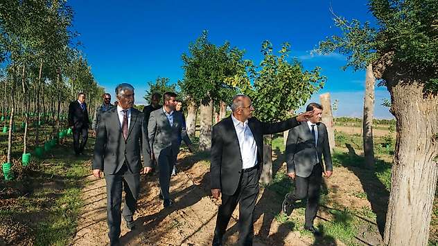 Malatya'nın Ağaçları Koruyan Uygulaması Türkiye Gündeminde!