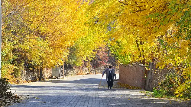Malatya'nın Doğa ile İç İçe Cennet Köşesi:  Gündüzbey