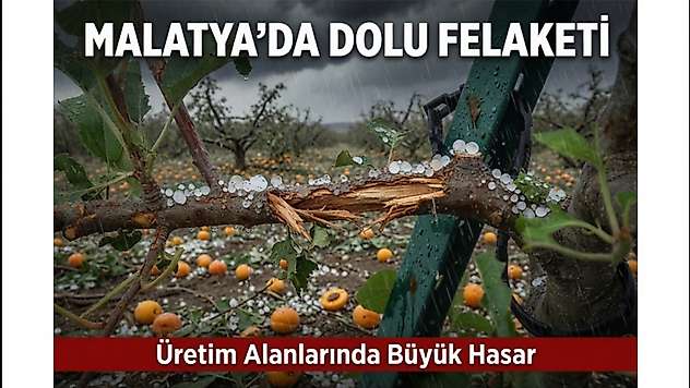 Malatya Valiliği'nden Dolu Açıklaması: Kayısı Bahçelerinde Zarar Tespiti Başladı