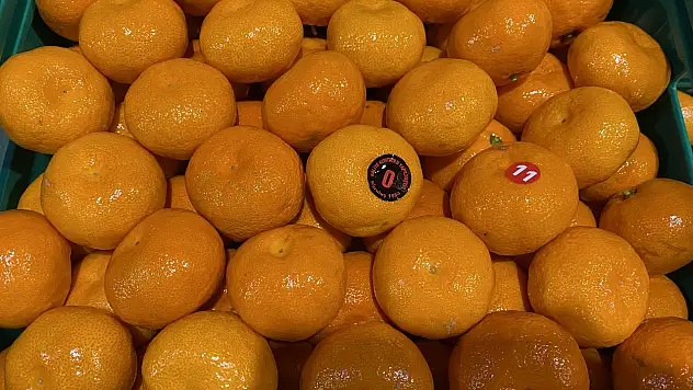 Mandalina ihracatı 615 milyon dolarla rekor kırdı