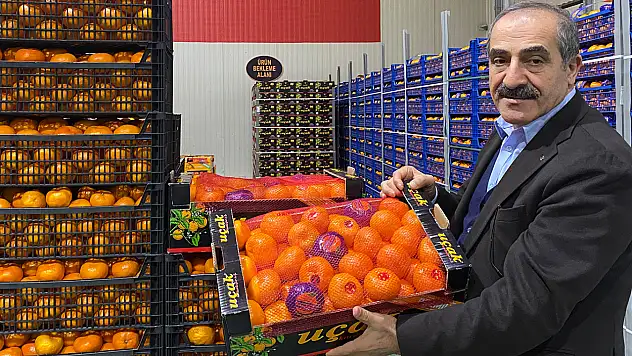 Mandalina ihracatı rekor kırdı