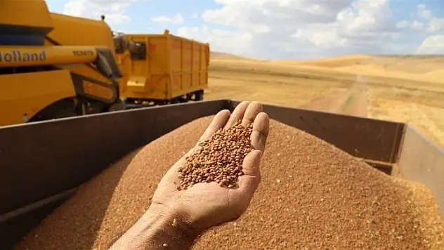 Marketlere hücum edenler iyi okusun