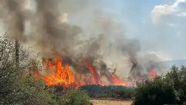 Mersin ve Hatay'da orman yangınları devam ediyor: 2 bin 966 kişi tahliye edildi