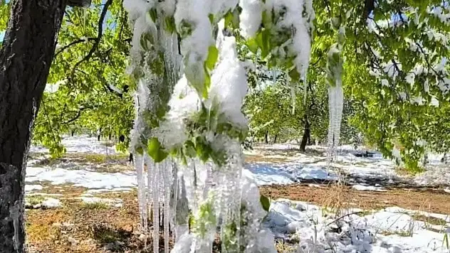 Meteoroloji'den çiftçilere zirai don uyarısı