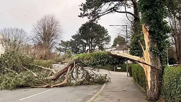 Meteoroloji'den kuvvetli rüzgâr uyarısı: Kuzey kesimlerde sağanak bekleniyor