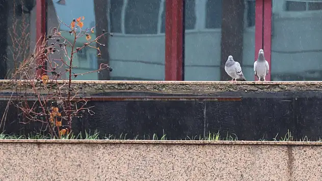 Meteoroloji Uyardı: Çığ, Don ve Kuvvetli Rüzgâr Geliyor