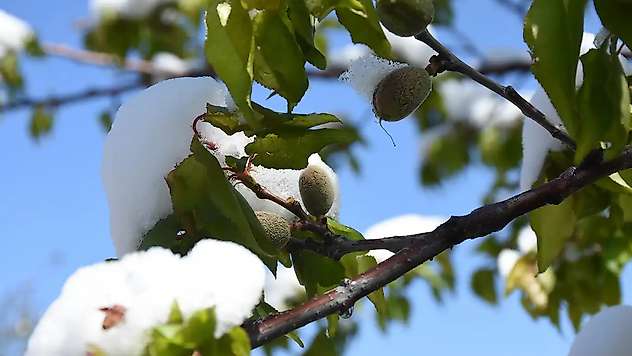 Meteoroloji uyardı: Zirai don, çığ ve toz taşınımına dikkat