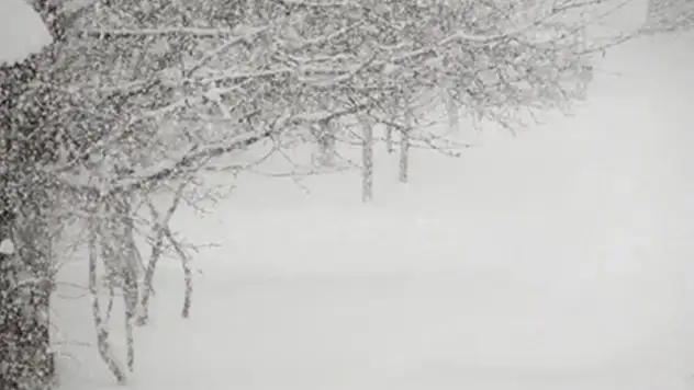 Meteorolojiden 4 il için sarı kodlu uyarı