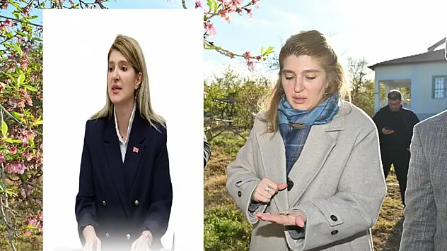 Milletvekili Ölmeztoprak'tan Kayısıda Zirai Don Açıklaması