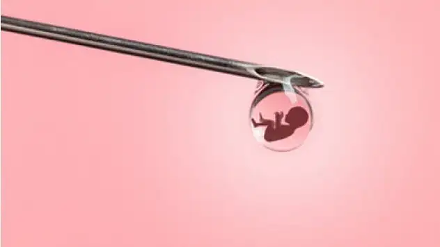 Mitokondri nakli, yumurta naklinden çok farklı