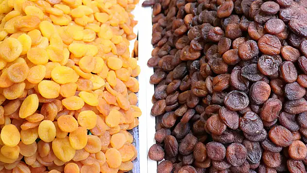 MTB Başkanı Özcan: Zirai dona rağmen ihracat geliri 377 milyon doları aştı