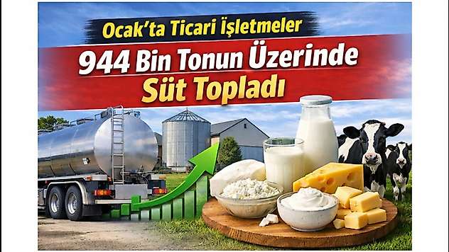 Ocak'ta Ticari İşletmeler 944 Bin Tonun Üzerinde Süt Topladı