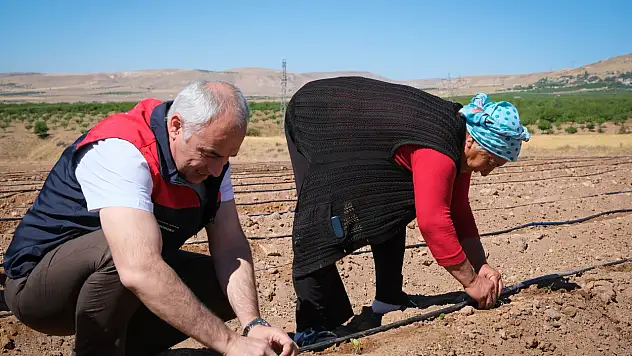 Öğretmenliği bırakıp köyünde organik üretime başladı
