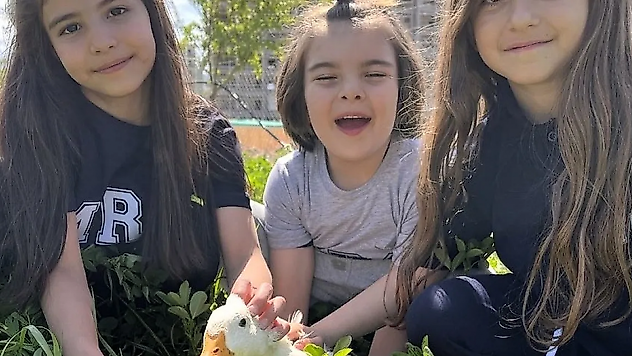 Okulda Şiddete Karşı Örnek Model: Mercan Koleji'nde Sevgi Temelli Eğitim