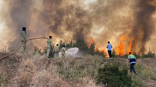 Orman yangınları için kritik uyarı: 19-25 Temmuz arası yüksek riskli