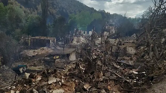 Orman yangınlarında 132 bağımsız birim hasar aldı