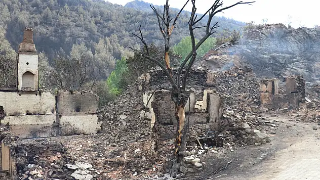 Orman yangınlarından etkilenenlere hane başına 162 bin TL'lik destek