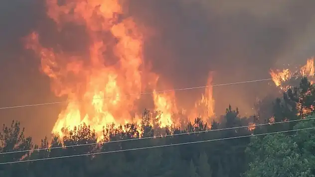 Orman yangınlarıyla ilgili olarak gözaltına alınan 3 kişi tutuklandı