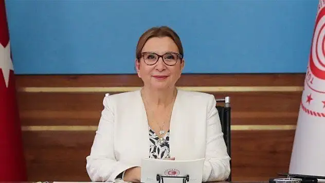 Pekcan, esnaf ve sanatkarlara sağlanan destekler için başvuru süresini uzattıklarını açıkladı