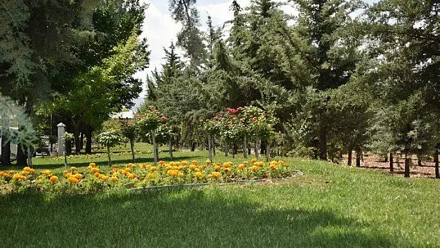 Peyzaj İşine Başladılar