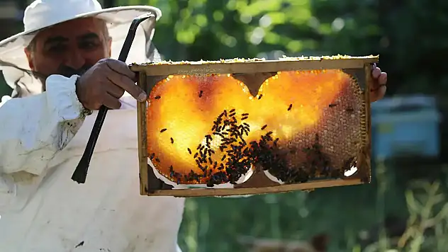 Piyasadaki taklit ve hileli gıda ürünü sayısı bin 418'e yükseldi