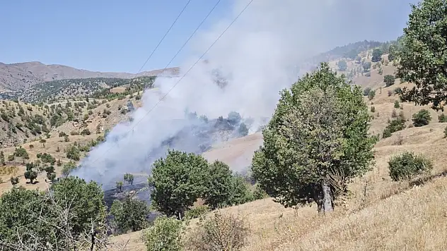 Pütürge'de orman yangını başladı