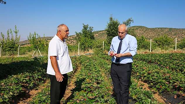 Pütürge'de Üreticiye Yakın Takip: İl Müdürü Akar Sahada İncelemelerde Bulundu