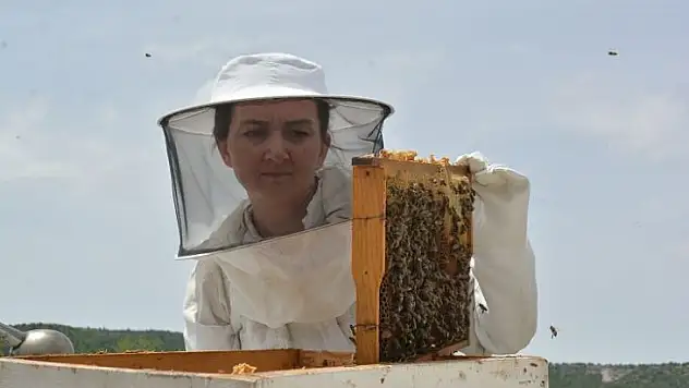 Sevgi Demir Yılmaz Bankacılıktan İstifa Edip Arıcı Oldu