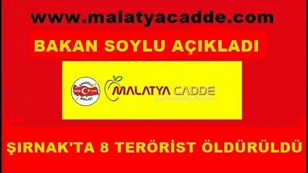 Şırnak'ta 8 terörist öldürüldü