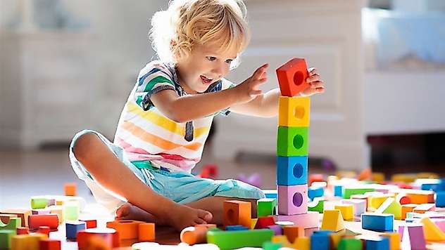 Solaklık Zekâ Göstergesi Değil: Uzmanlardan Bilimsel Açıklama