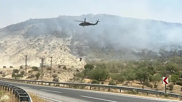 Son iki günde çıkan orman yangınlarından 8'i sürüyor