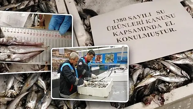 Su Ürünlerine sıkı denetim