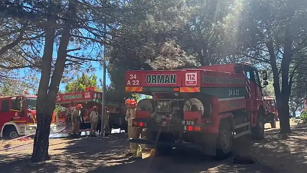 Sultangazi Kent Ormanı'ndaki yangın kontrol altına alındı