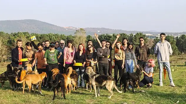 Sürgün Köpeklerin Sesi Olmak İçin Bir Kez Daha Bir Araya Geldiler
